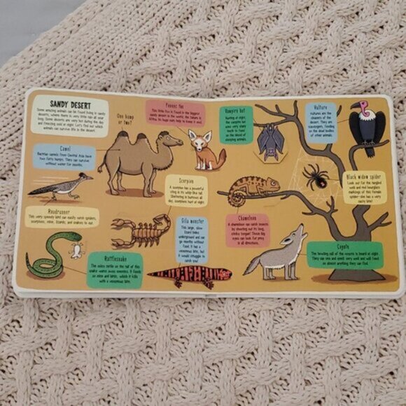 New "Little Explorers: The Animal World" Flap Board Book - Picture 8 of 14